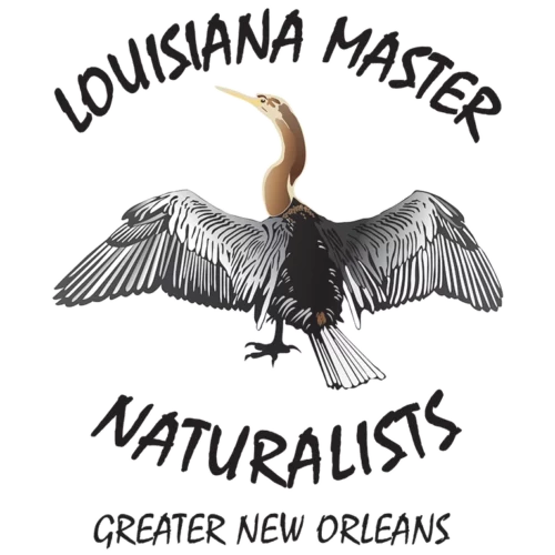 LMNGNO logo